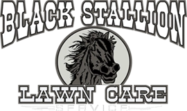 Black Stallion Lawn Care Service Logo