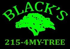 Blacks Tree and Landscape Logo