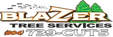 Blazer Tree Service Logo