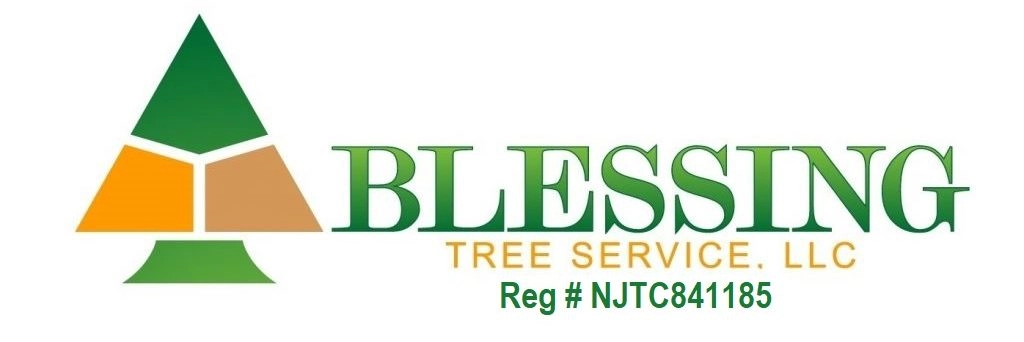 Blessing Tree Service Logo