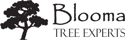 Blooma Tree Experts Logo