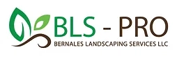 Bls-Pro Landscaping VA Logo