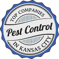 Blue Beetle Pest Control Logo