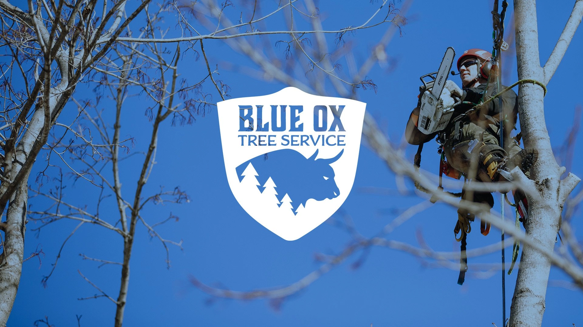 Blue Ox Tree Service Logo