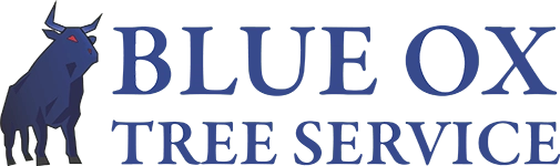 Blue Ox Tree Service Logo