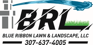 Blue Ribbon Lawn & Landscape, LLC Logo
