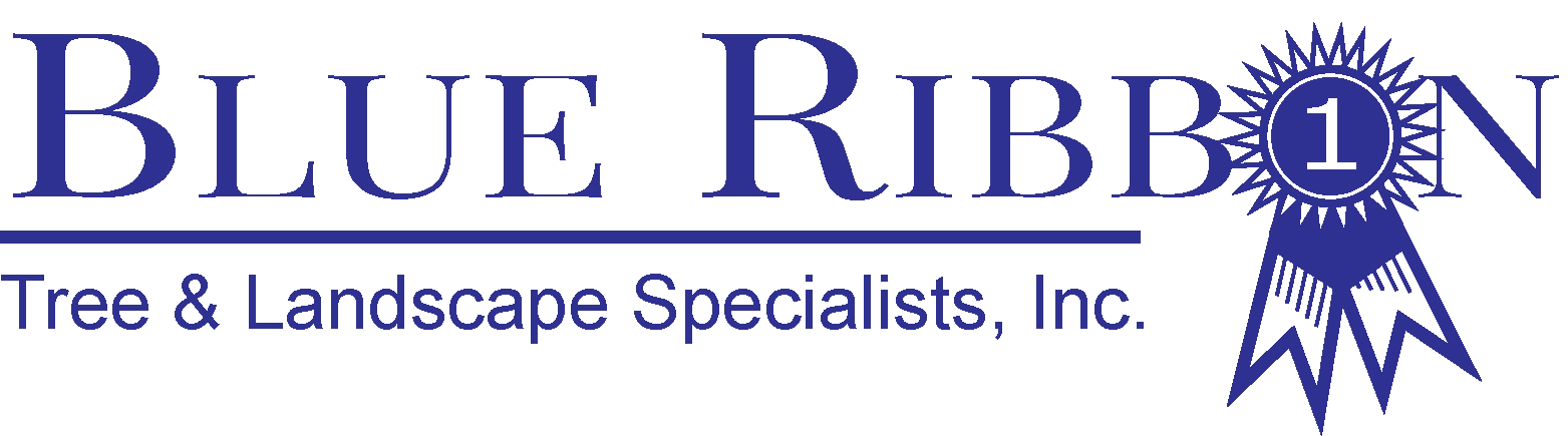 Blue Ribbon Tree & Landscape Specialists, Inc. Logo