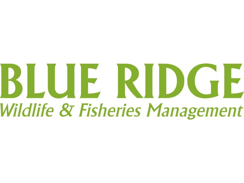 Blue Ridge Wildlife & Fisheries Management, LLC Logo