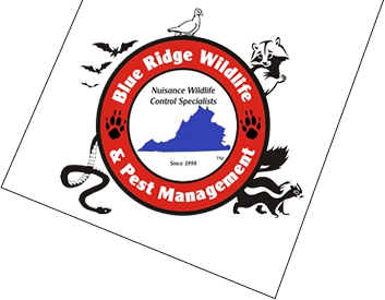 Blue Ridge Wildlife & Pest Management, LLC Logo