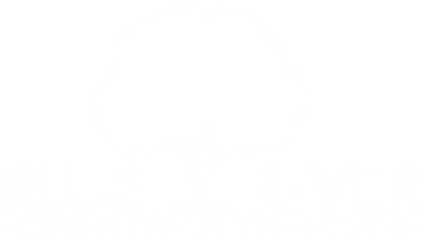Blue River Forestry & Tree Care Logo