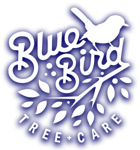 Bluebird Tree Care, Inc. Logo