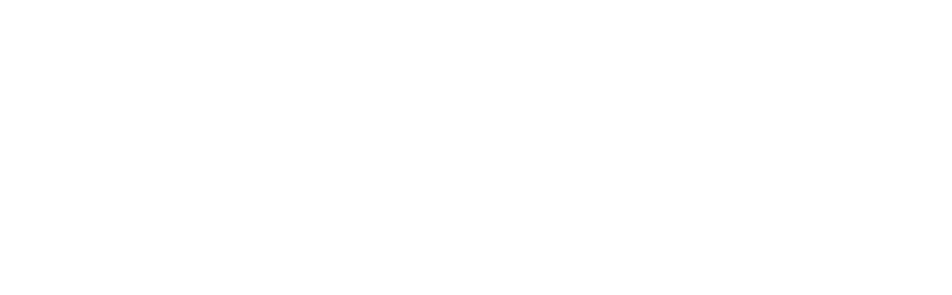 bluefrog Plumbing + Drain of Denver Logo