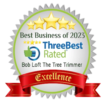 Bob Loft the Tree Trimmer Logo