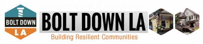 Bolt Down LA Logo