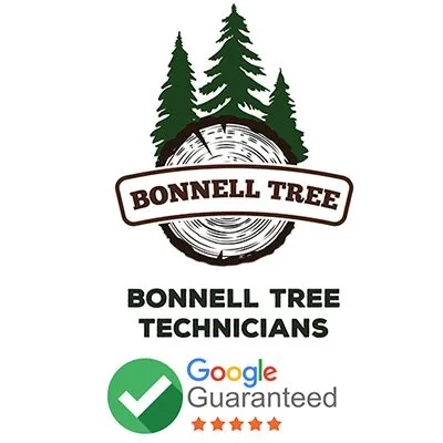 Bonnell Tree Technicians Logo