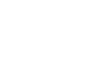 Bonnivier Electric Logo