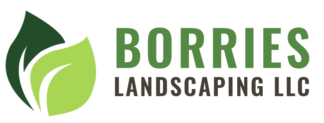 Borries Landscaping, Llc Logo