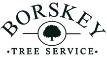 Borskey Tree Service Logo