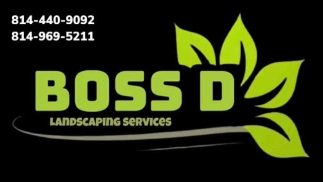 Boss D Landscape Logo