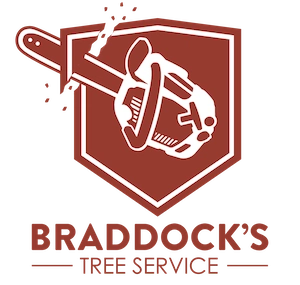 Braddock's Tree Service Logo