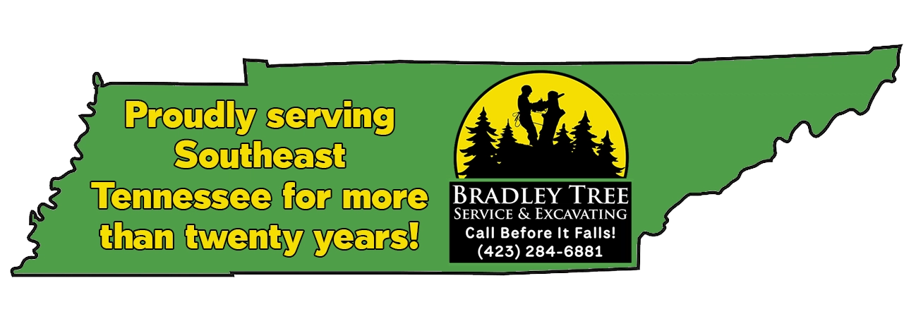 Bradley Tree Service & Excavating Logo