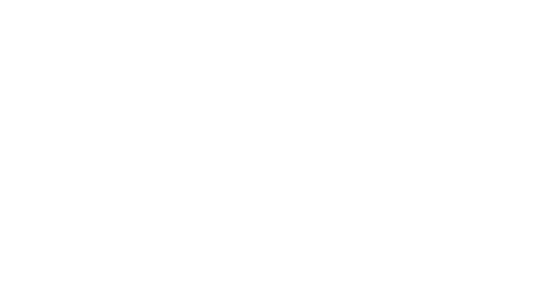 Branch Management Tree Services Logo