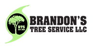 Brandon's Tree Service Logo