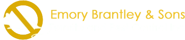 Brantley Emory & Sons Termite Logo