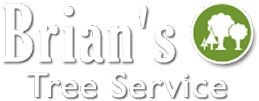 Brian's Tree Removal Service, LLC Logo