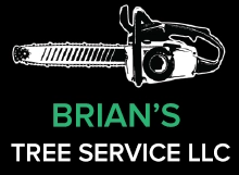 Brian's Tree Services Logo