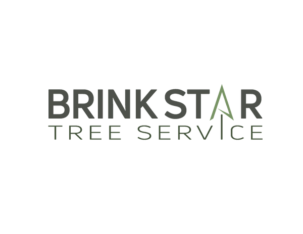 BrinkStar Tree Service Logo