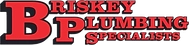Briskey Plumbing Specialists Logo