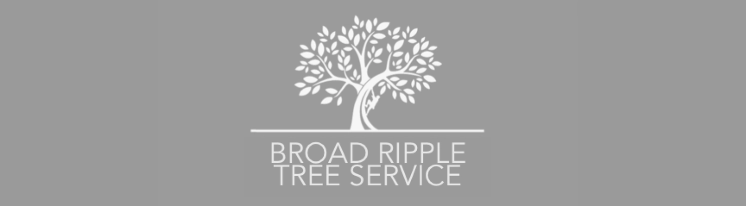 Broad Ripple Tree Service, Inc Logo