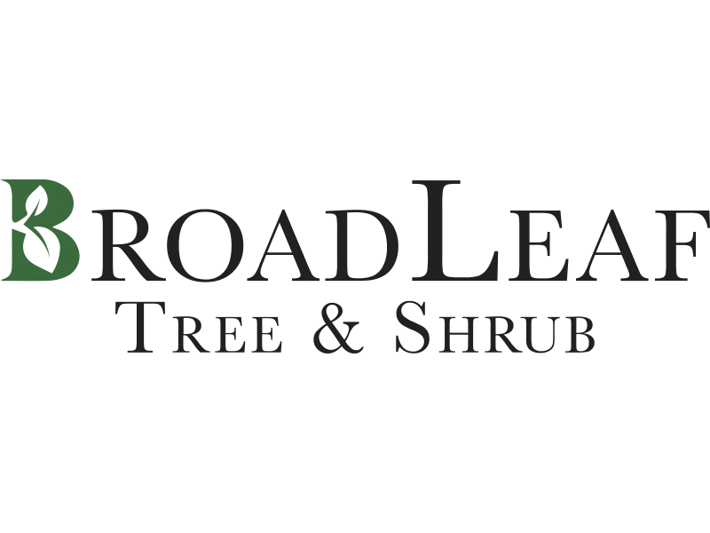 BroadLeaf Tree and Shrub: Durham Tree Removal, Tree Pruning, and Shrub Trimming Logo