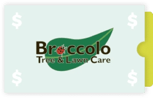 Broccolo Lawn and Landscape Logo