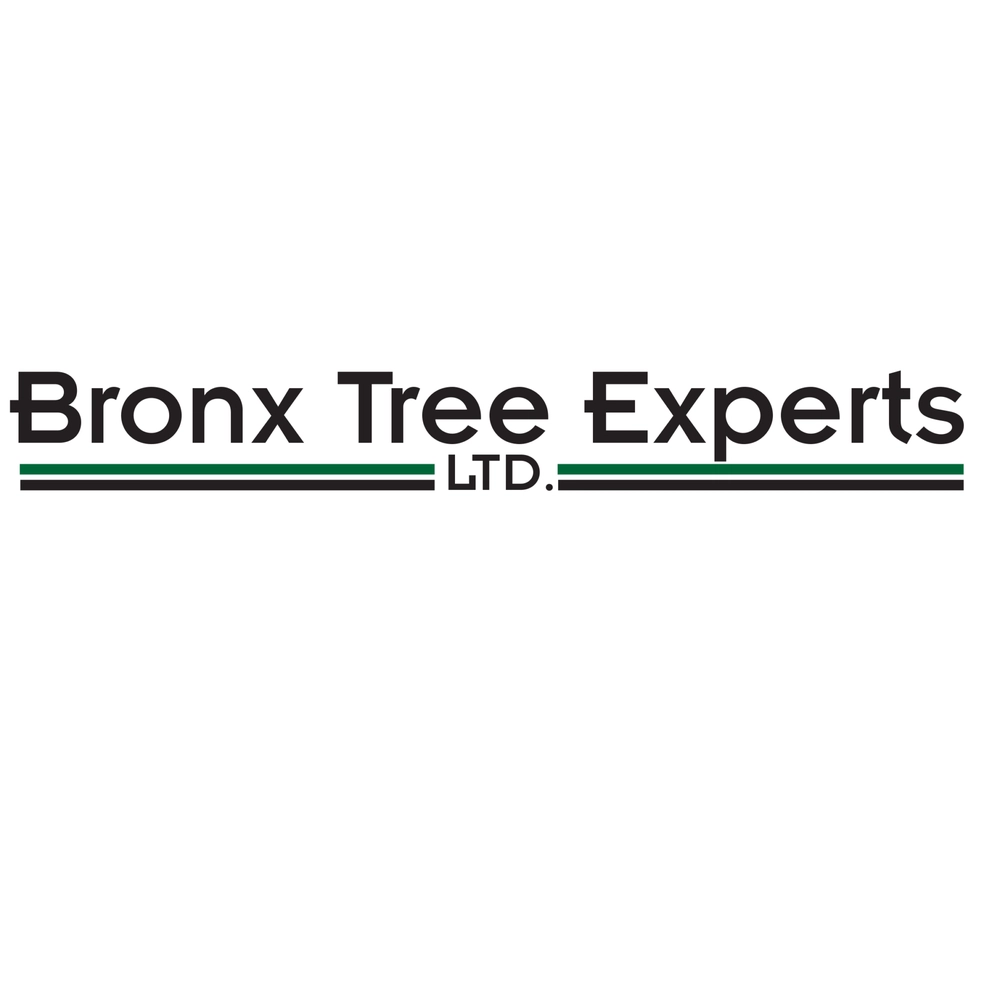 Bronx Tree Pro Logo