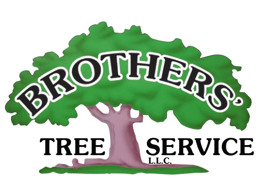 Brothers' Tree Service LLC Logo