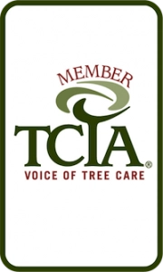 Brown Tree Service Inc Logo