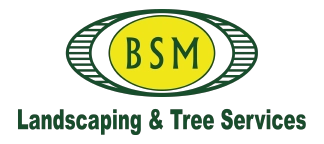 BSM Landscaping and Tree Service Logo
