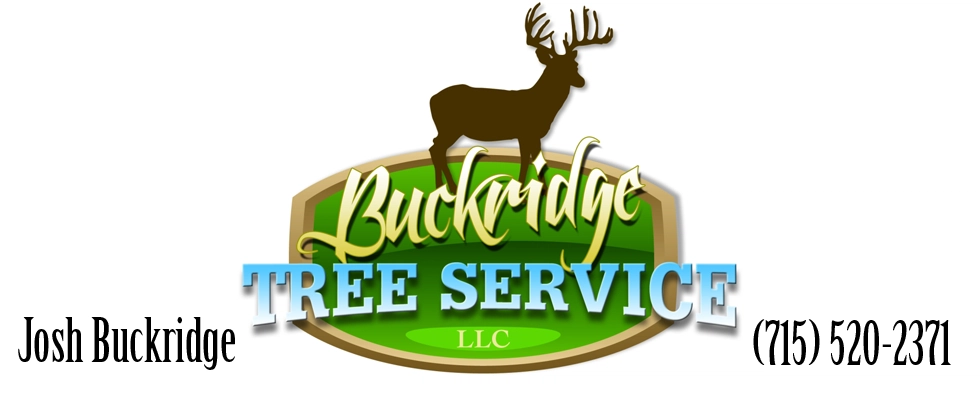 Buckridge Tree Service, LLC Logo