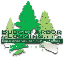Budget Arbor & Logging Logo