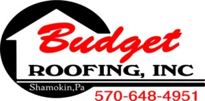 Budget Renovations & Roofing Logo