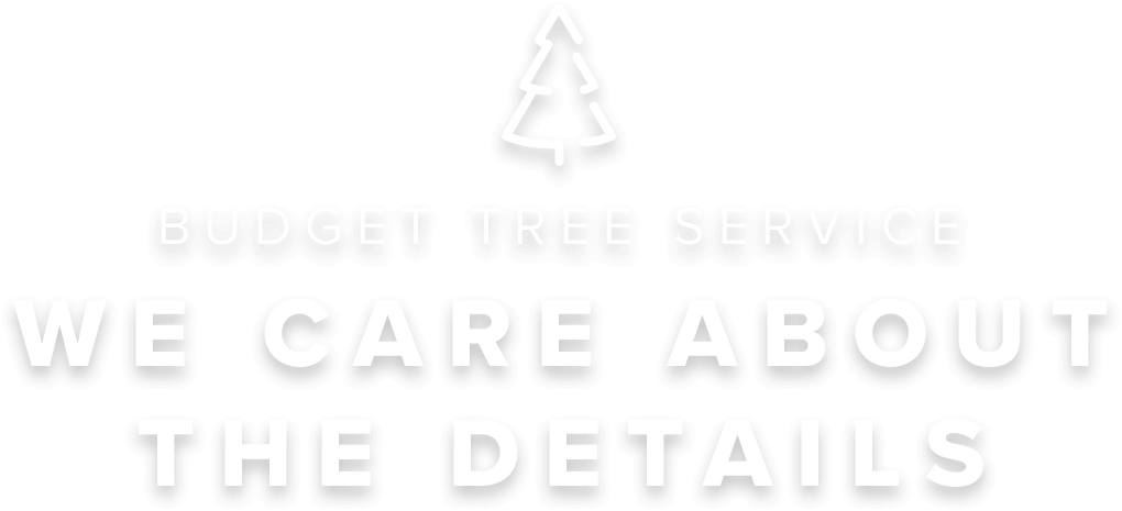 Budget Tree Service Inc. Logo