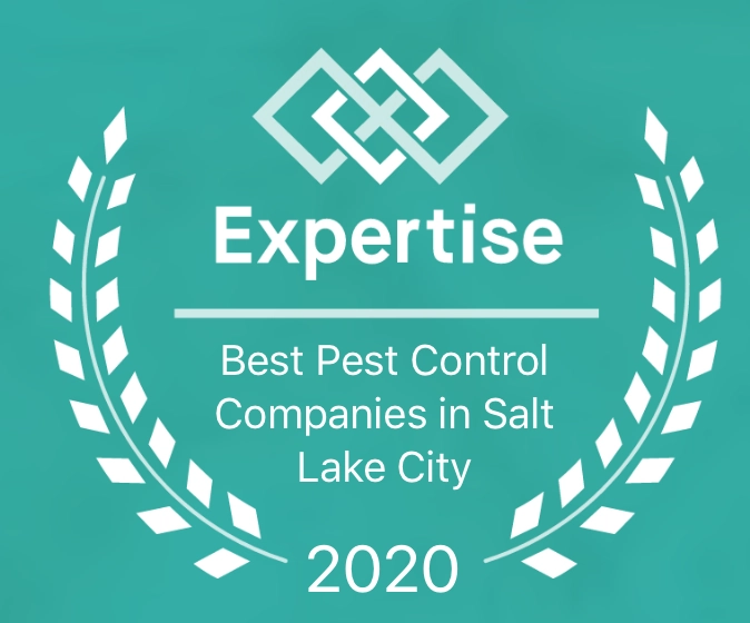 Bug Bully Pest Control LLC Logo