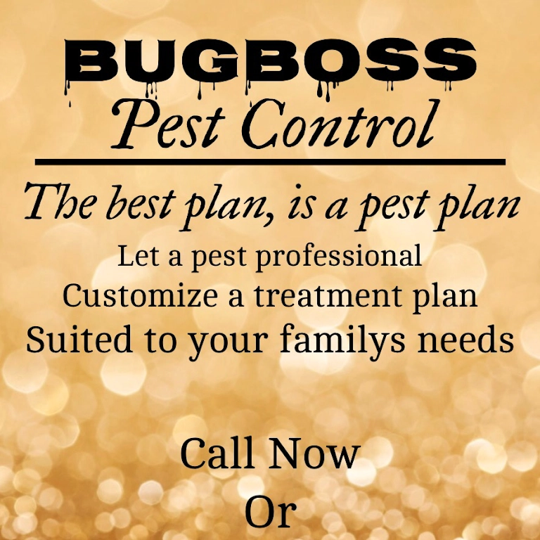 BugBoss Pest Control Logo