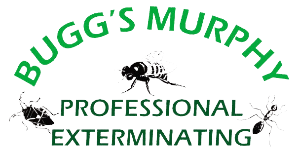 Bugg's Murphy Professional Exterminating Logo