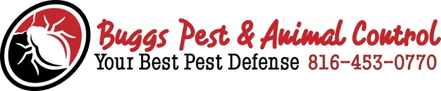 Buggs Pest & Wildlife Control Logo