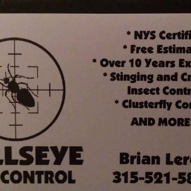 Bullseye Pest Control Logo