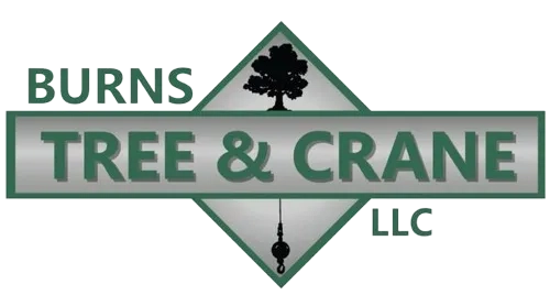 Burn's Tree & Crane LLC Logo