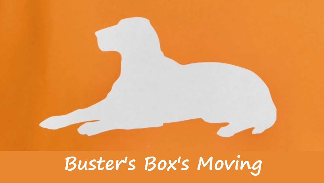 Buster’s Box’s Moving Logo